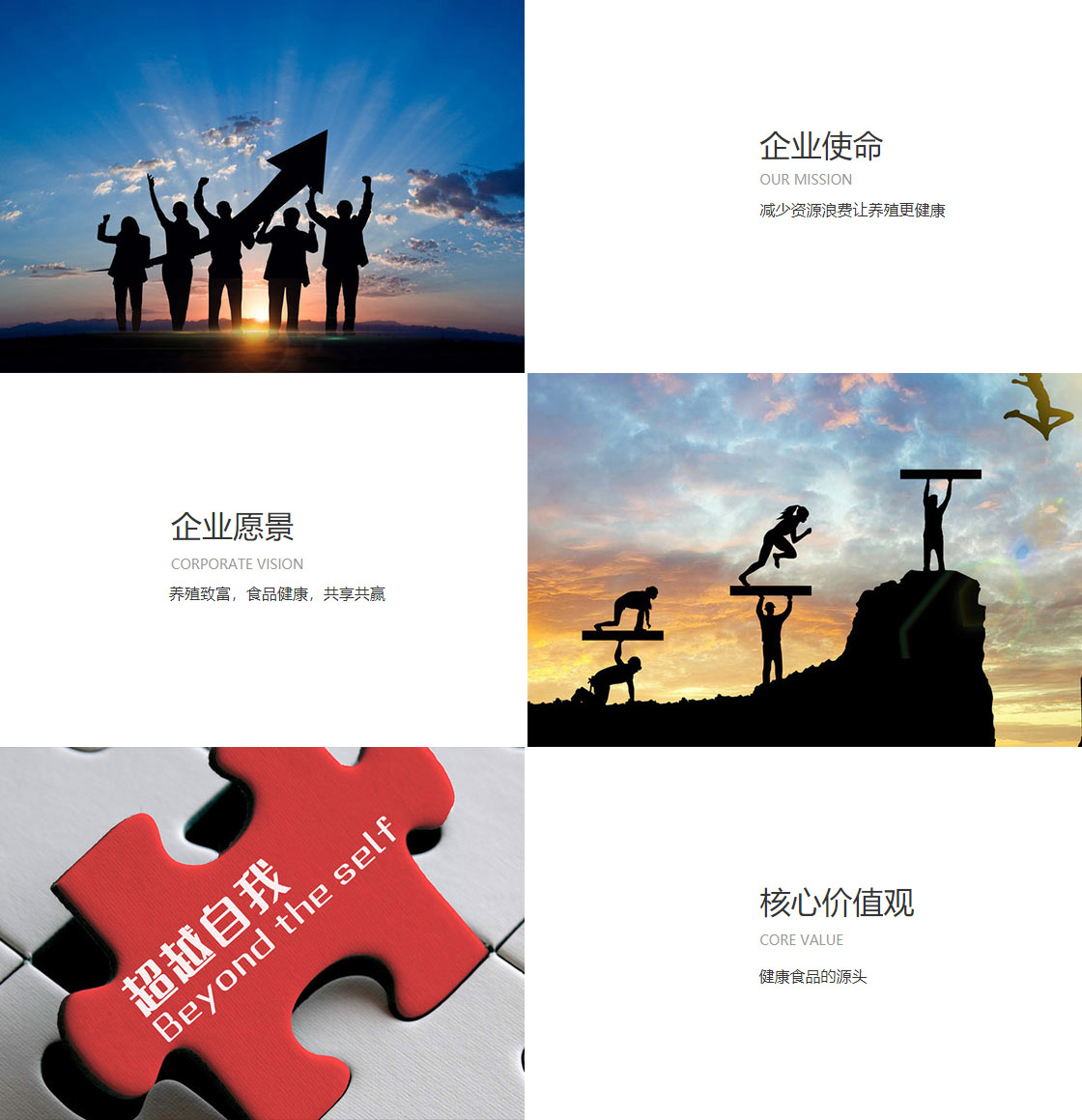 凯时官网app下载(图1)